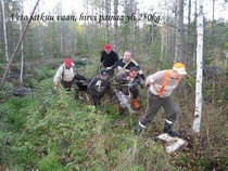 Syksy 2010