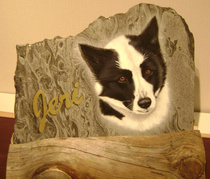 Jeri